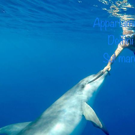 Appartamento Delfini Sul Mare Golfo Aranci Extérieur photo
